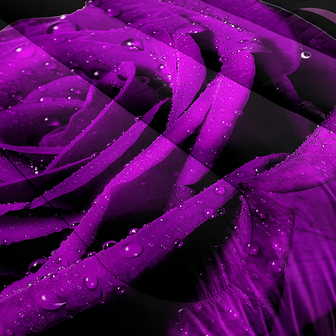 Purple Rose Comforter Set 3 Piece - Soft Floral Bedding for All Seasons